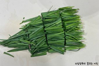 Chives / 부추 (kg)_0