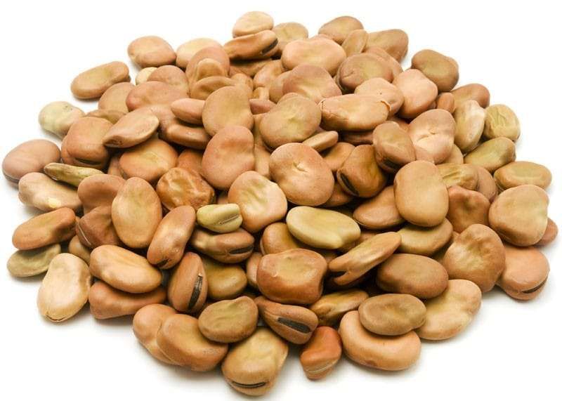 Fava Beans (Fool Masry) 3 kg_0