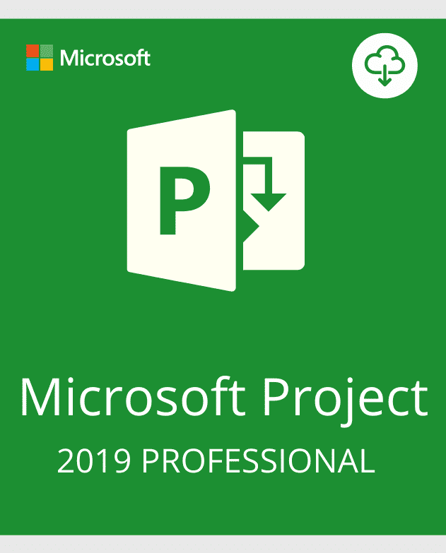 Project 2019 Professional (1PC) Global_0