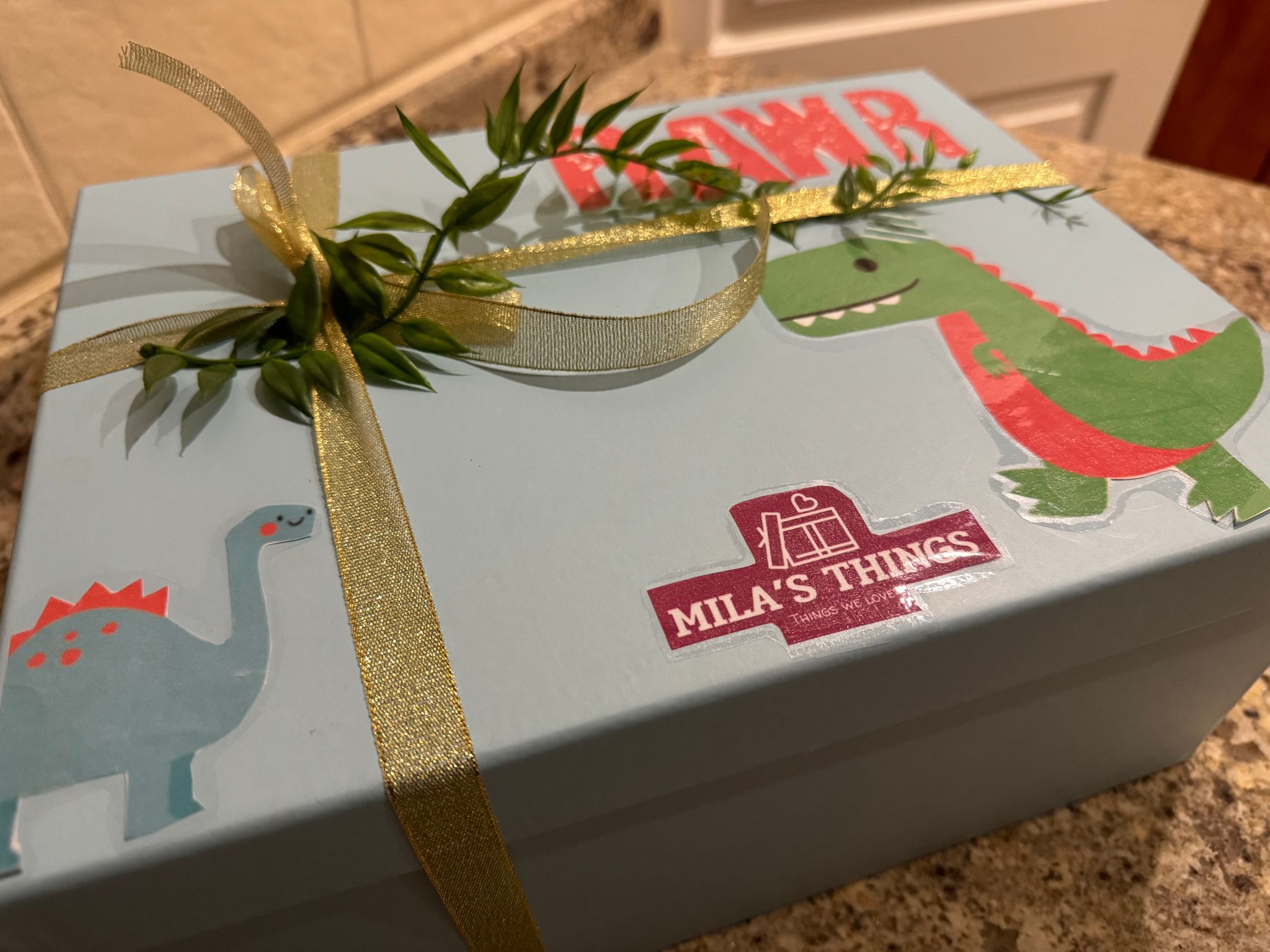 Surprise Gift Box - 🦕 Dinosaur_0