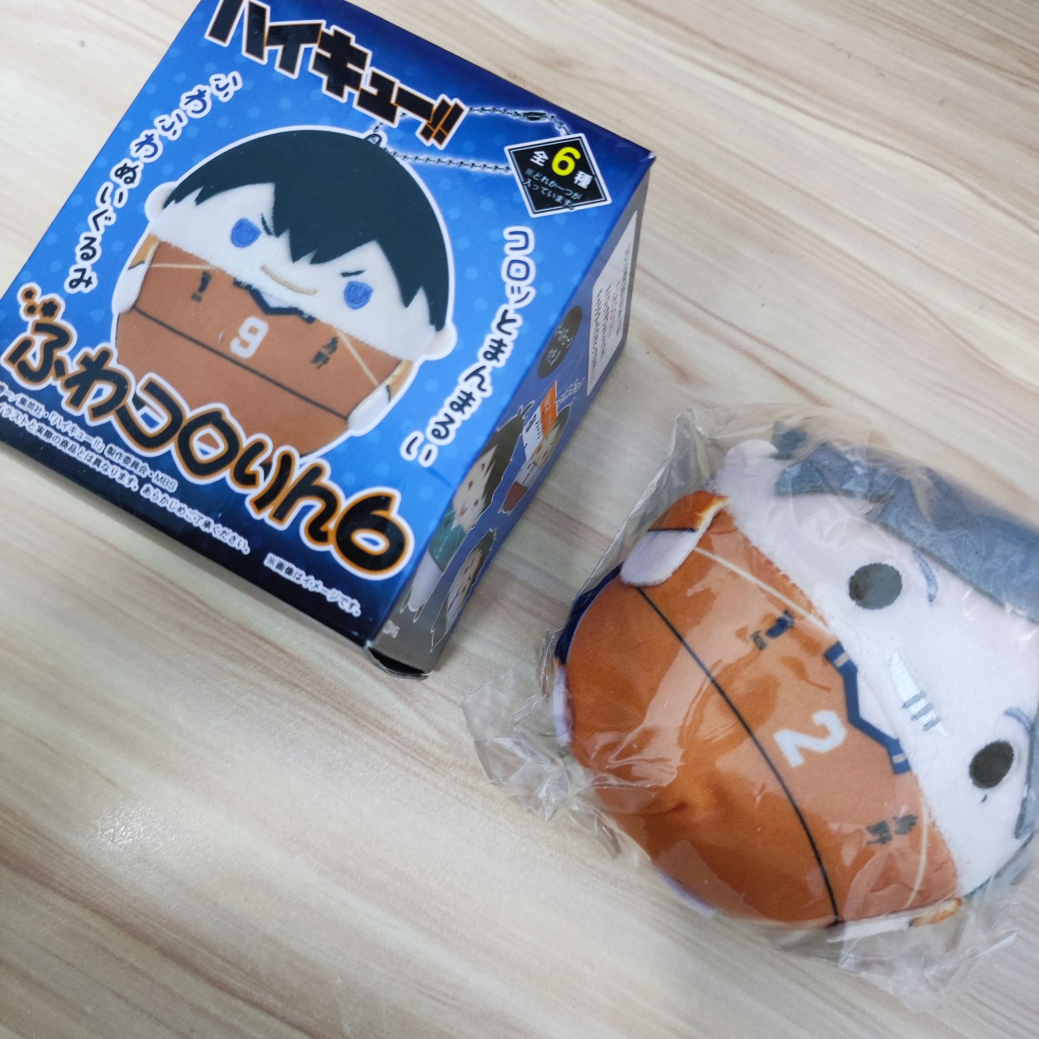 Haikyuu Official Fuwa Kororin Plush - Sugawara_0