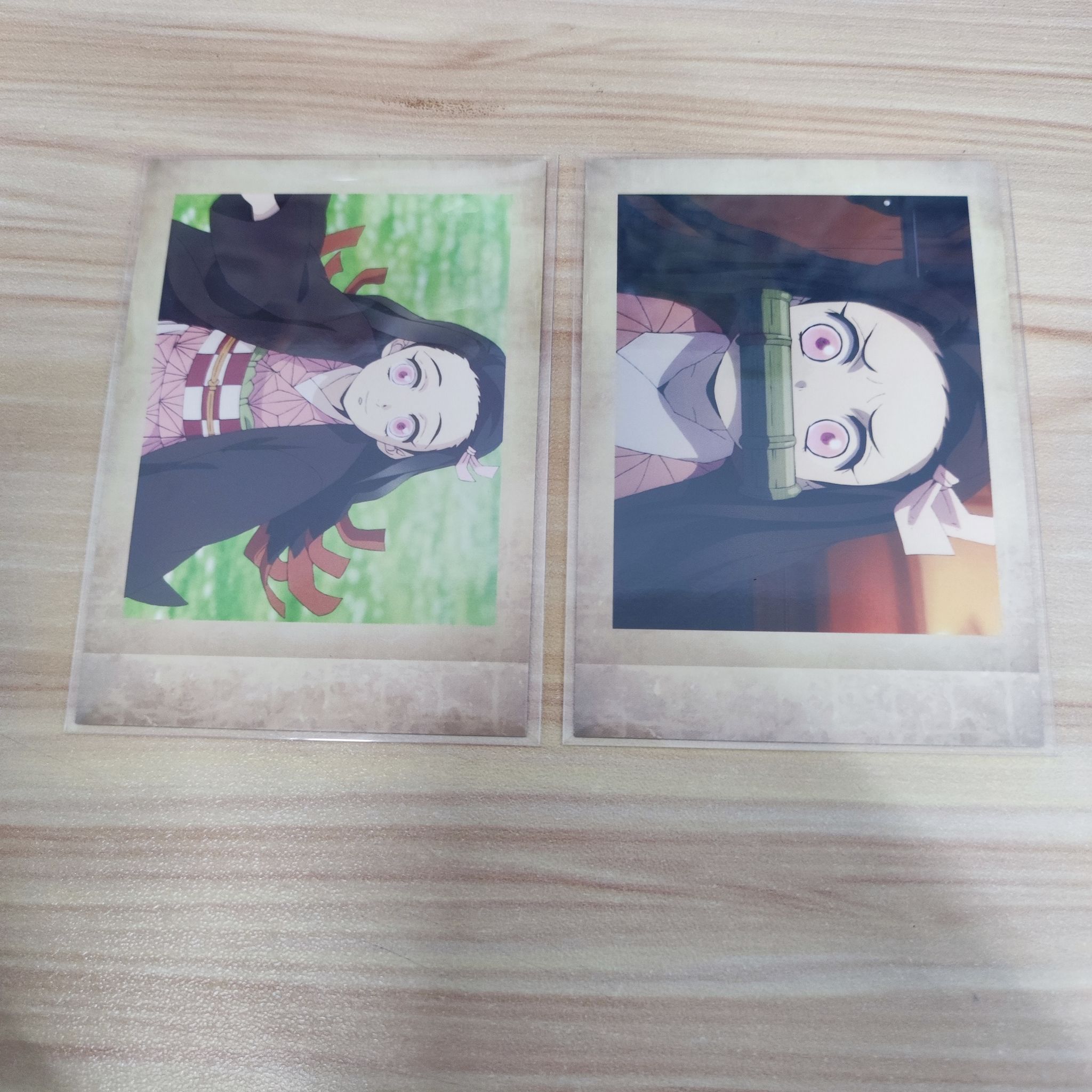 Kimetsu No Yaiba Official Polaroid - Mugen Train_2