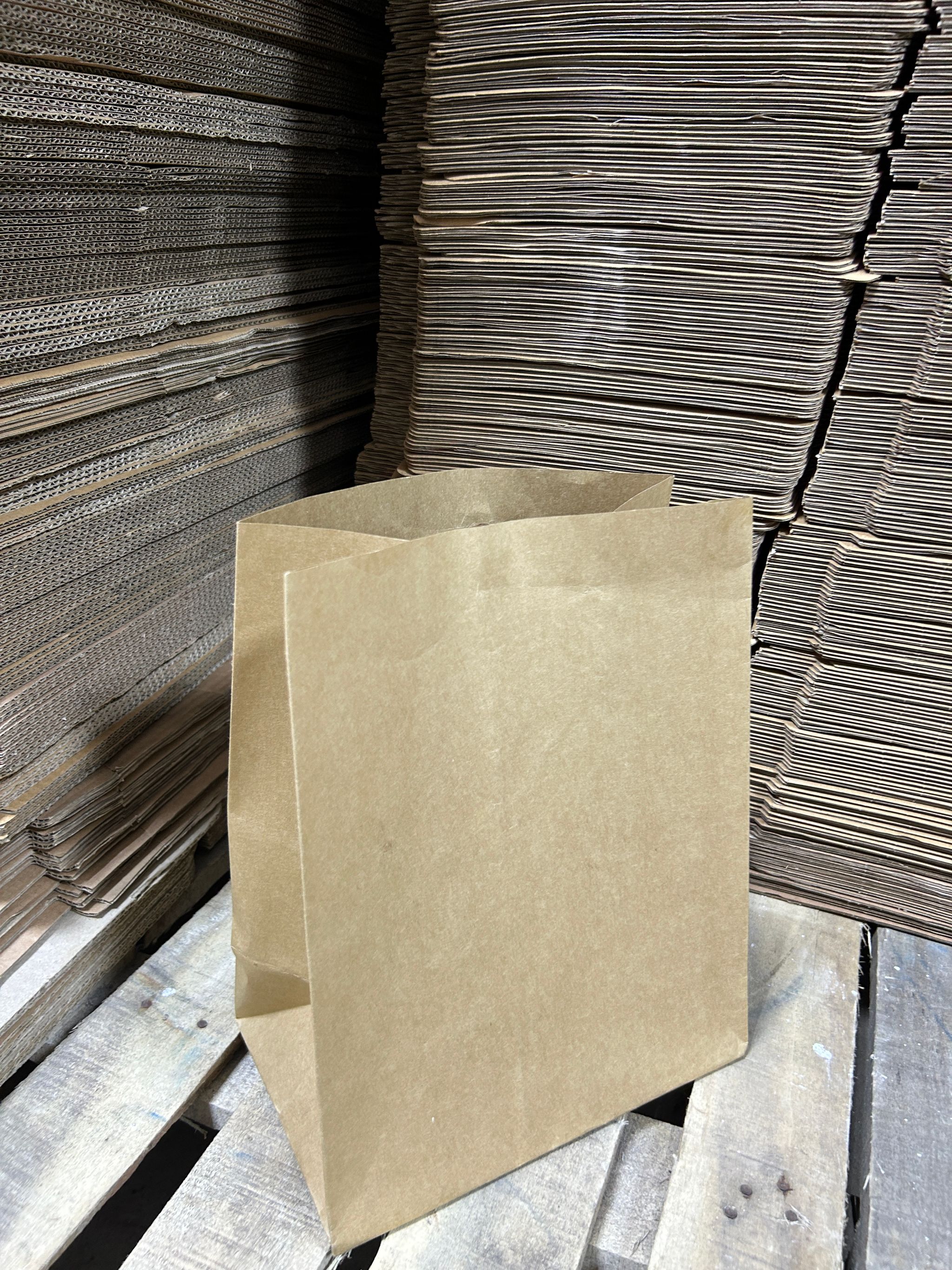 PLAIN BROWN DELIVERY TAKEOUT BAGS - 14” x 10” x 5''_1