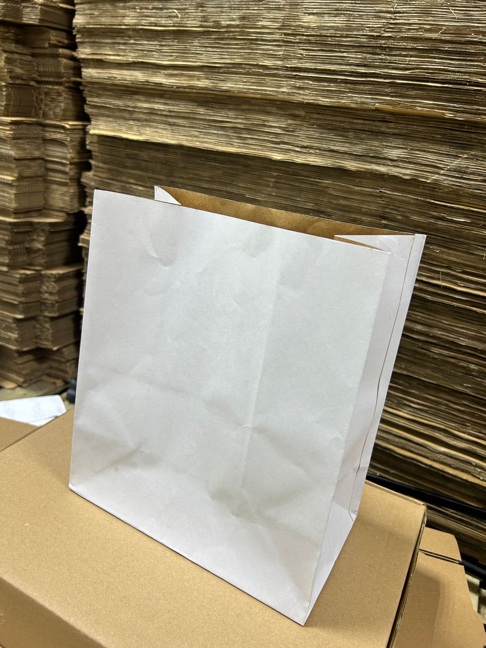 PLAIN WHITE DELIVERY TAKEOUT BAGS - 11” x 10” x 6”_1