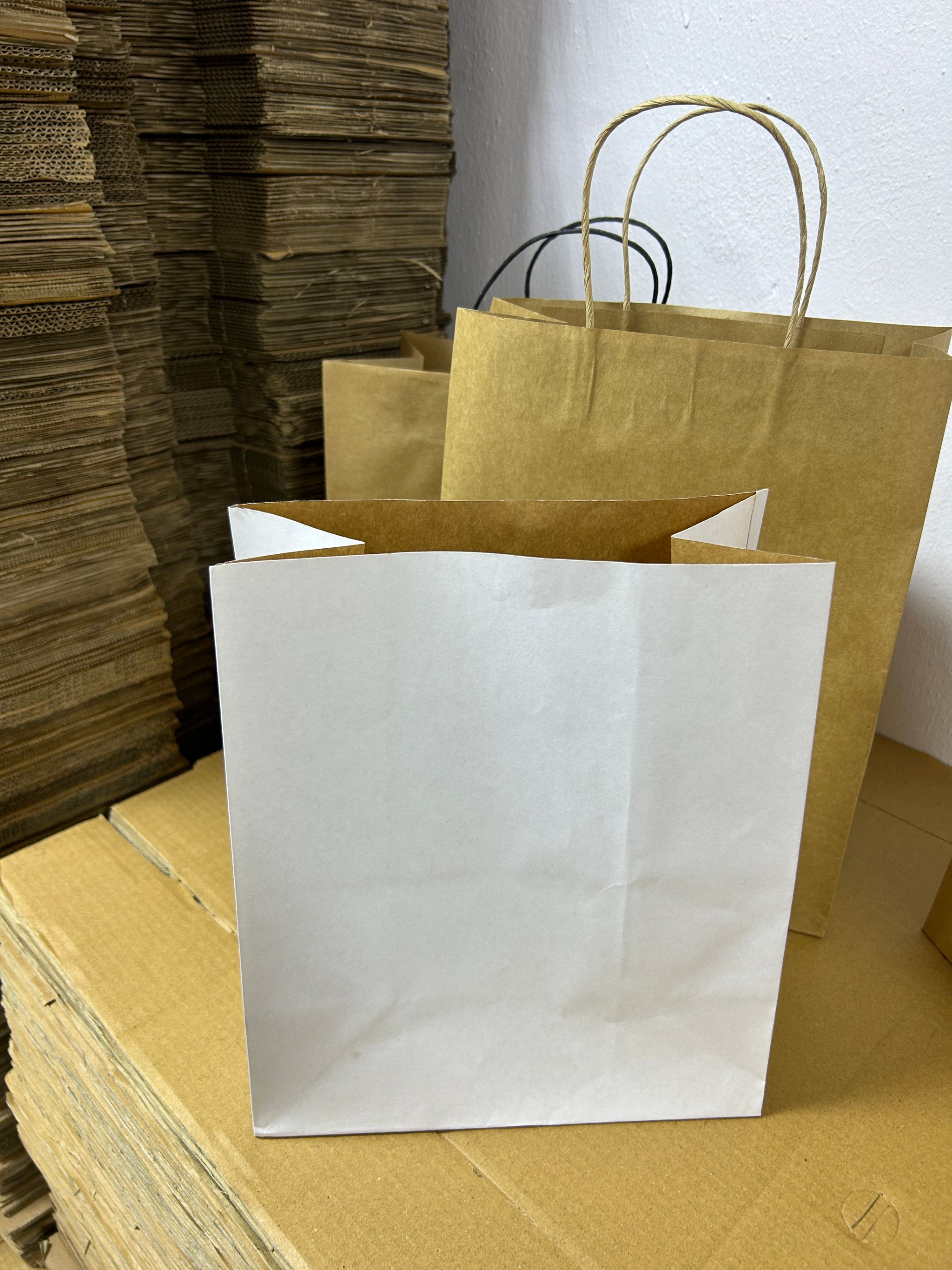 PLAIN WHITE DELIVERY TAKEOUT BAGS - 11” x 10” x 6”_6