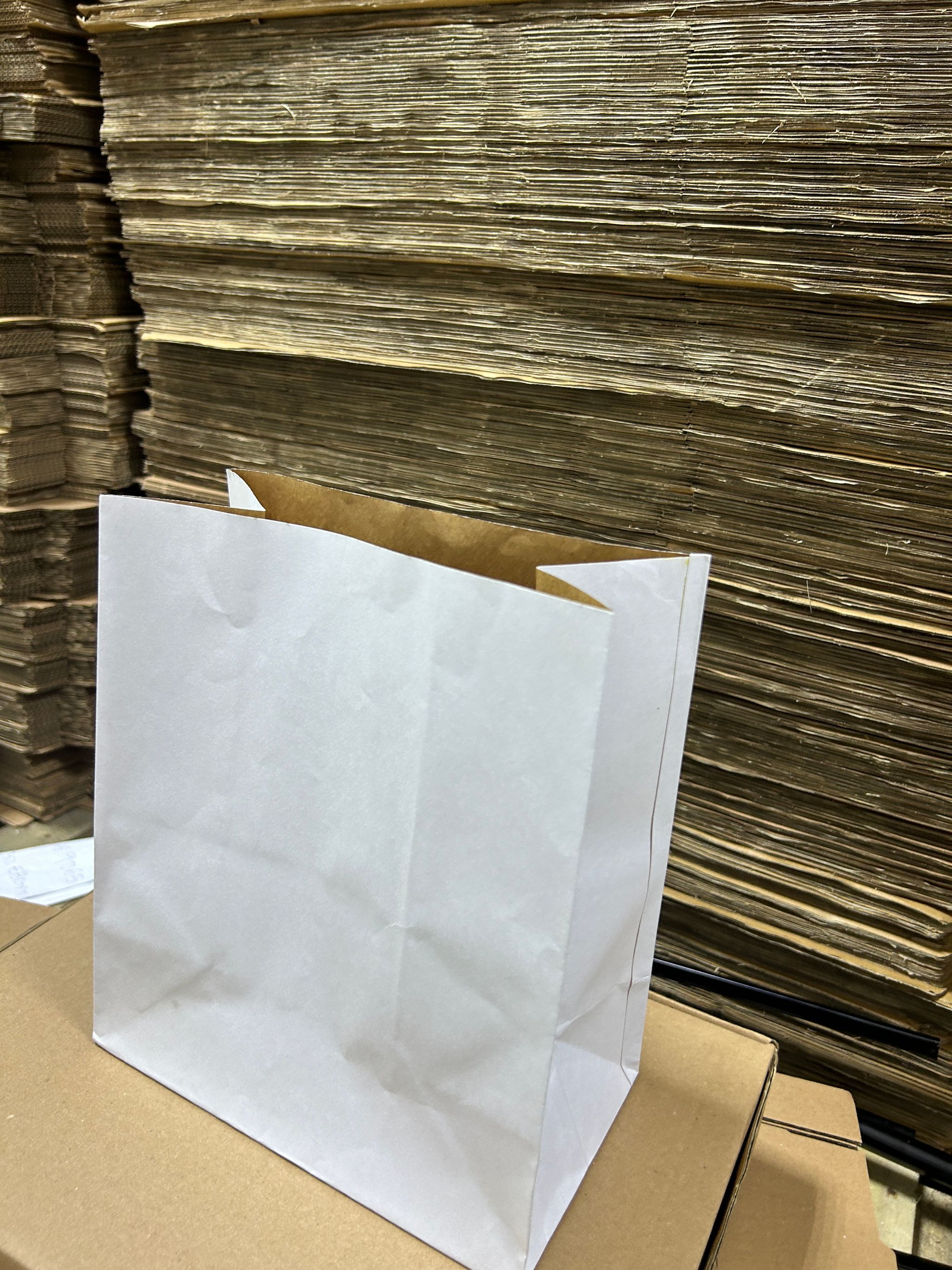 PLAIN WHITE DELIVERY TAKEOUT BAGS - 11” x 10” x 6”_4