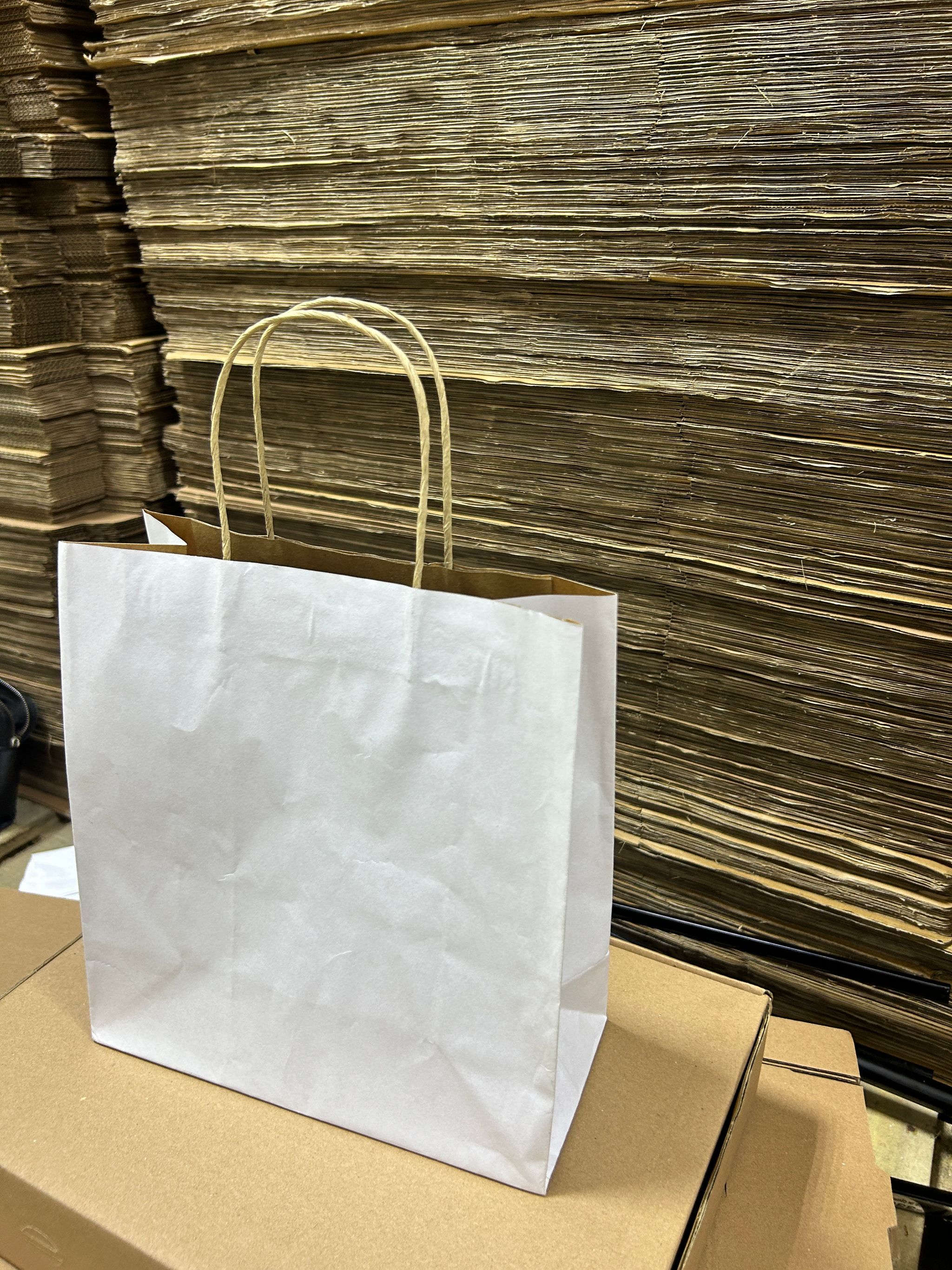 PLAIN WHITE DELIVERY CARRIER BAGS - 11” x 10” x 6” (WITH HANDLES)_2