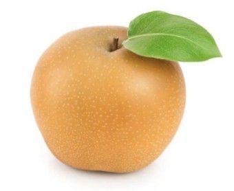 Pear / 배 (kg)_0