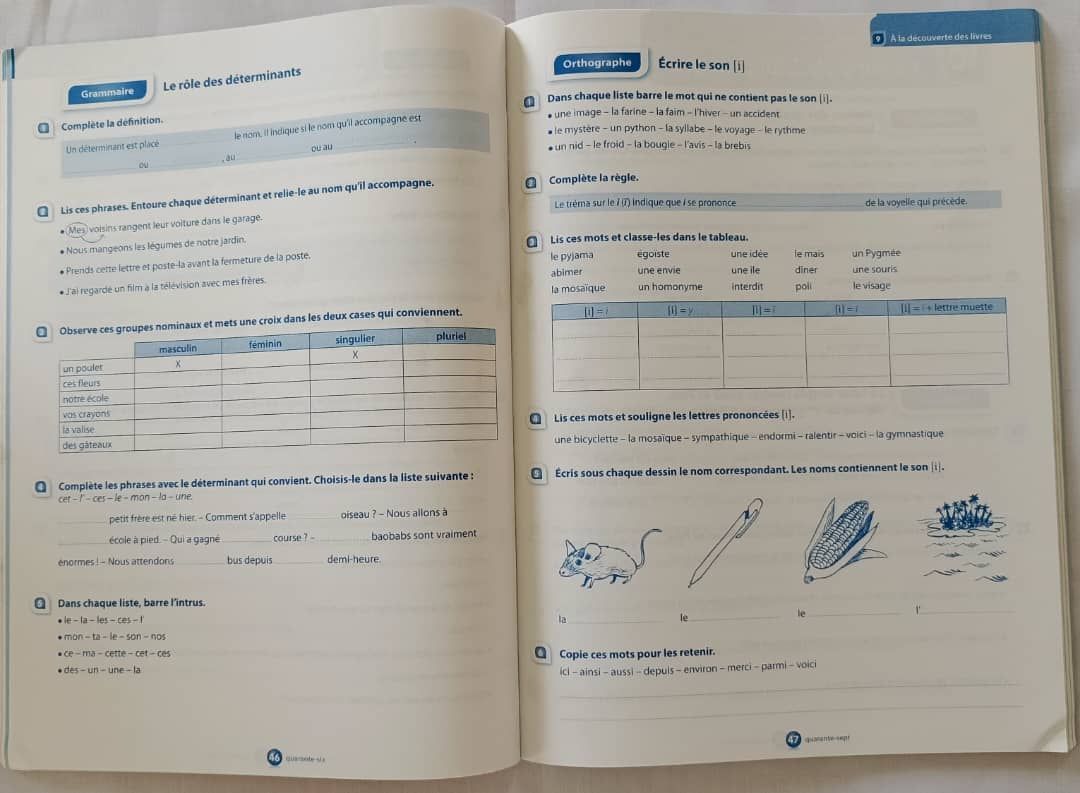 Gagné Français (Livret Activité) - CE2_2