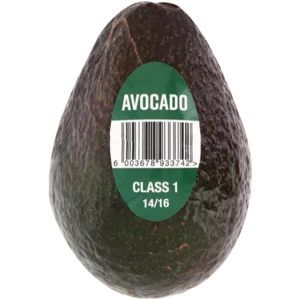 Avocado Single_0