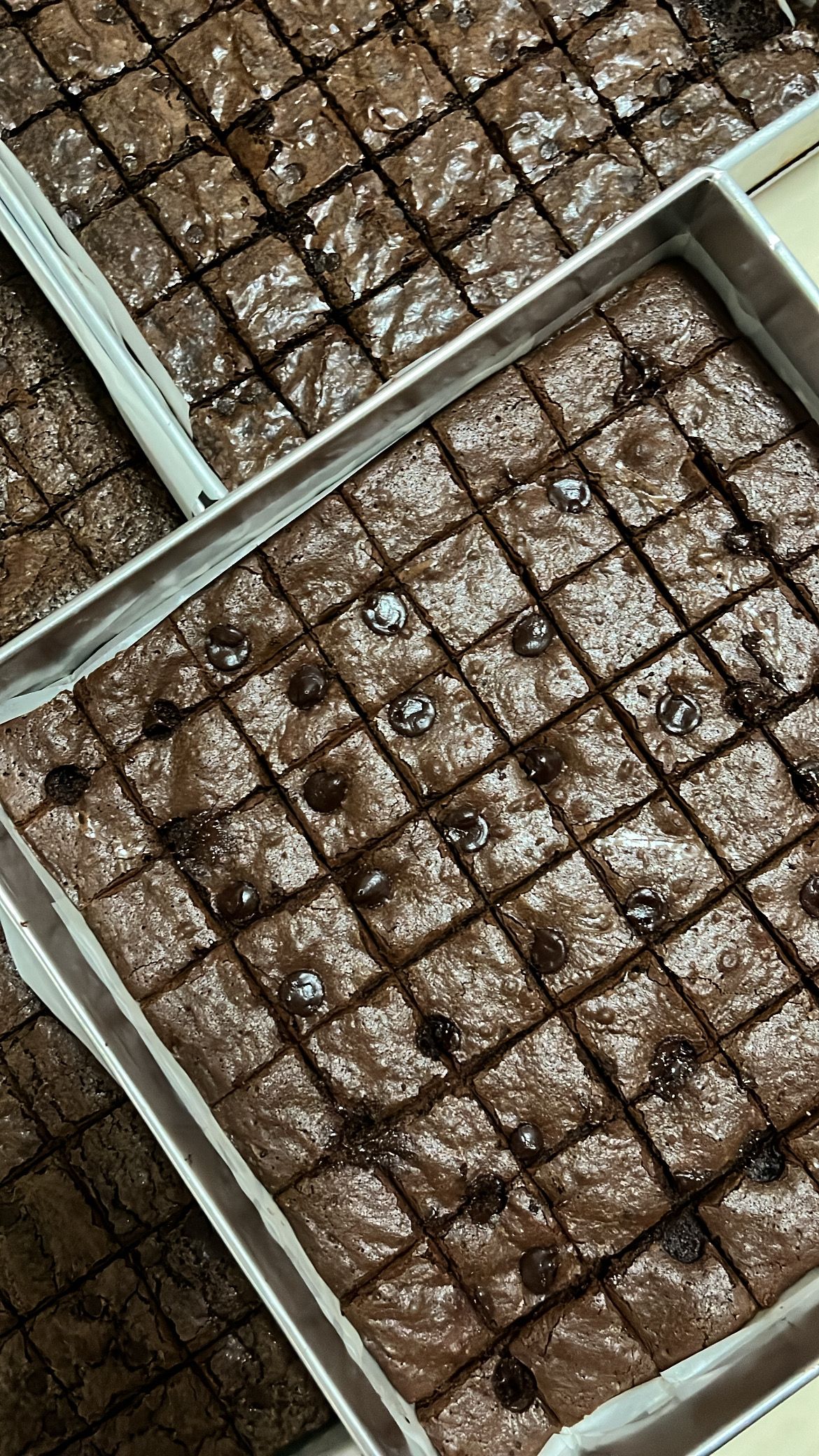 Bittersweet Brownie 16pcs_0