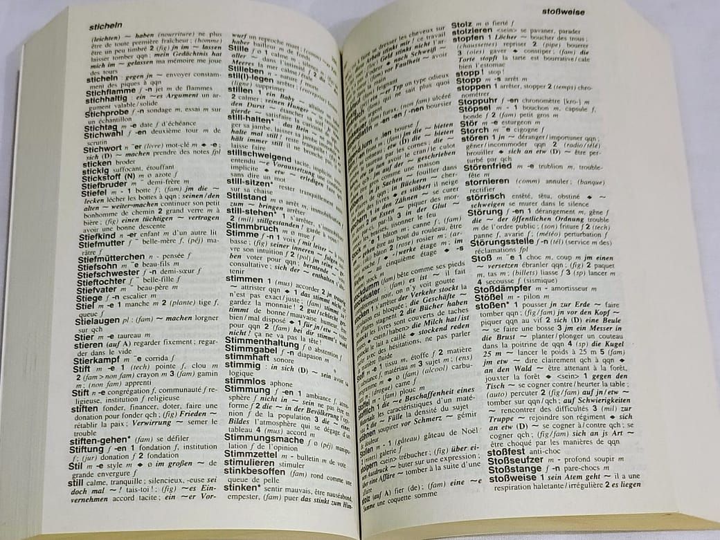 Dictionnaire Allemand Bilingue_2