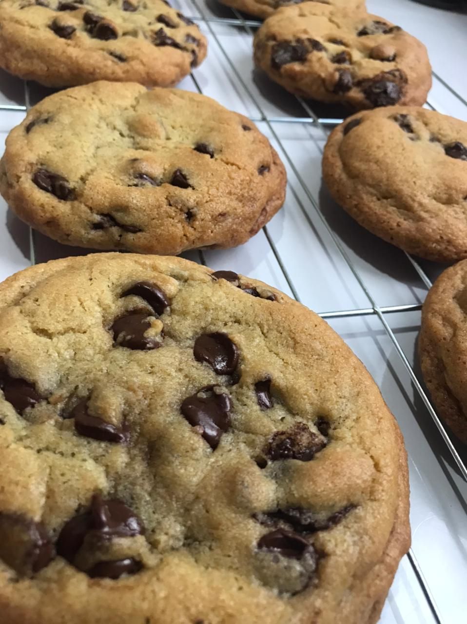 Chocolate Chip cookies_1