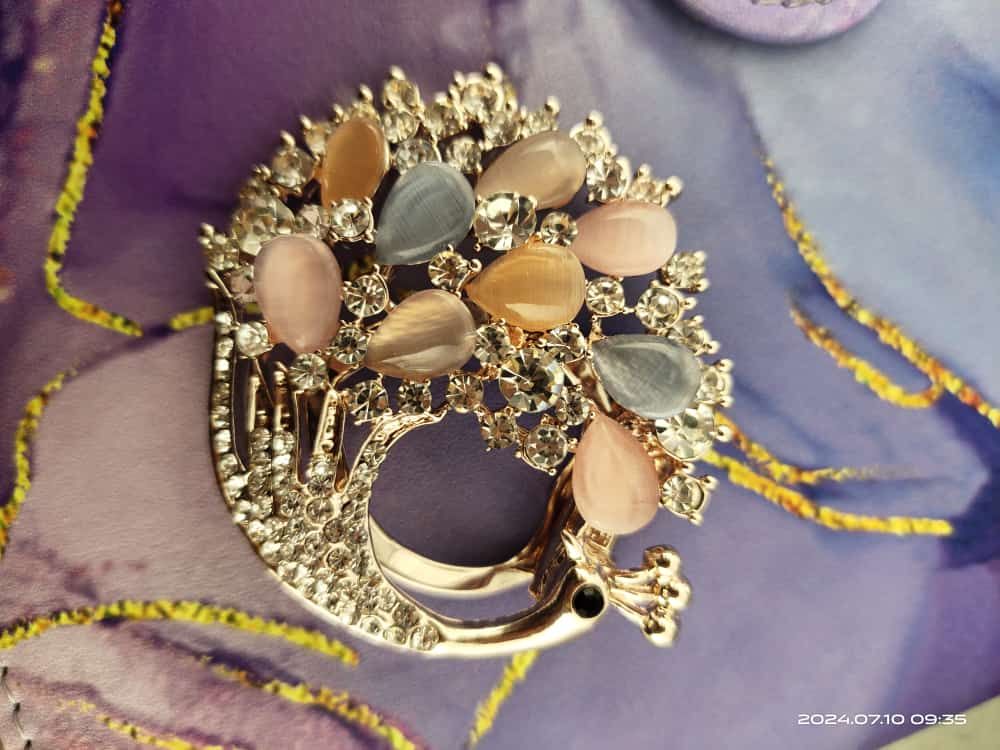 Brooch _2