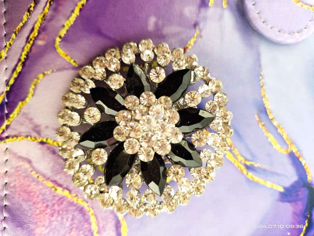 Brooch _1