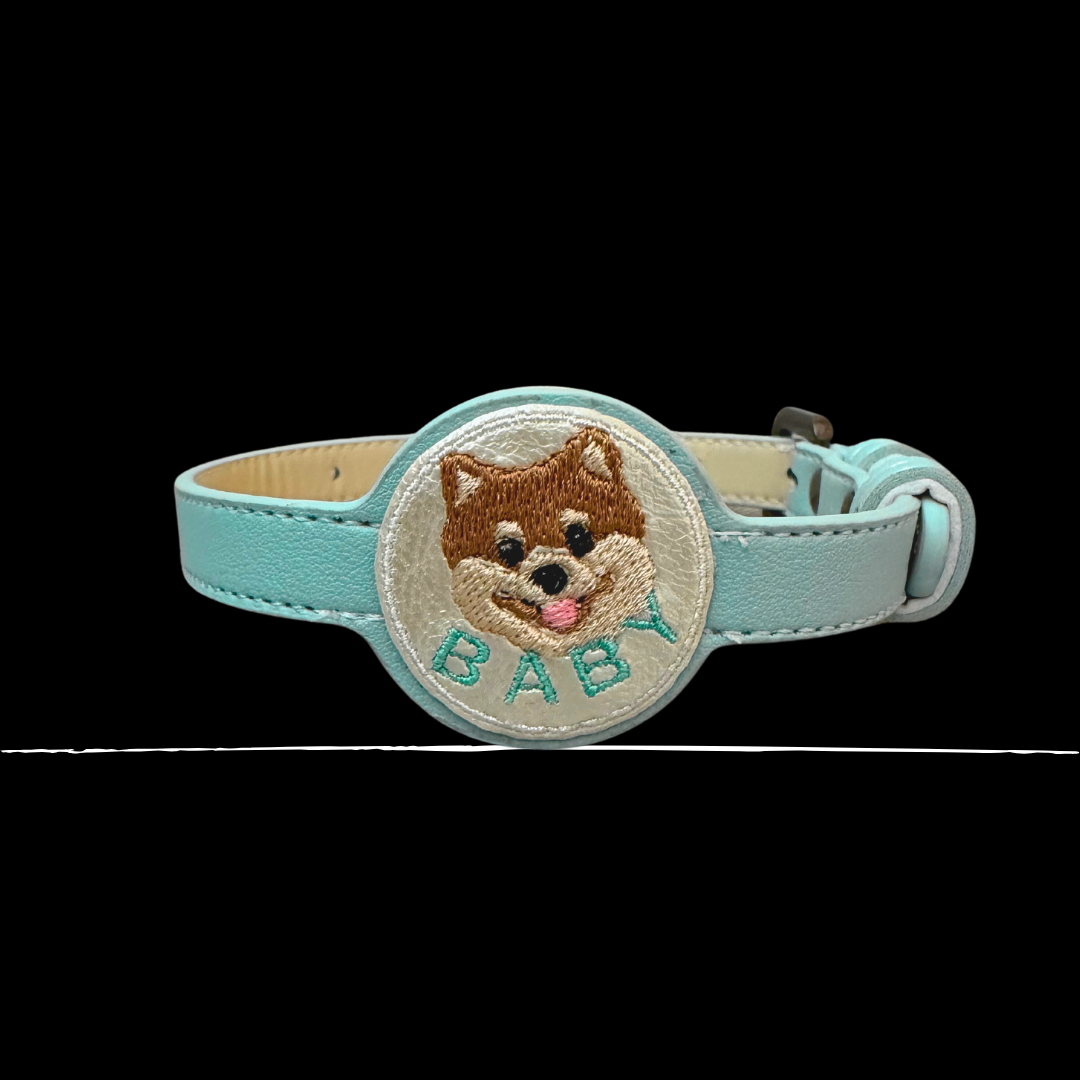 Custom Pet Apple Tag Collar_1