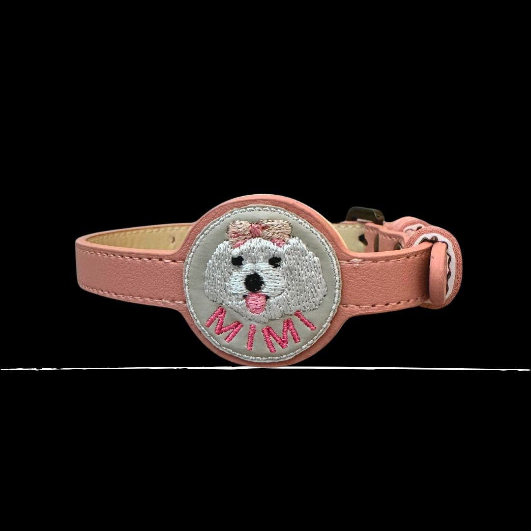 Custom Pet Apple Tag Collar_2