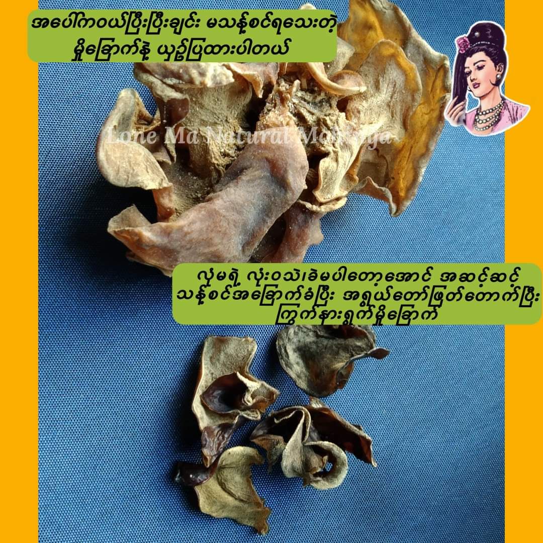 လုံမ_အသင့်စား ငါးကျည်းကျပ်တိုက် ကြာဆံချက် အနှစ်ထုတ်_9