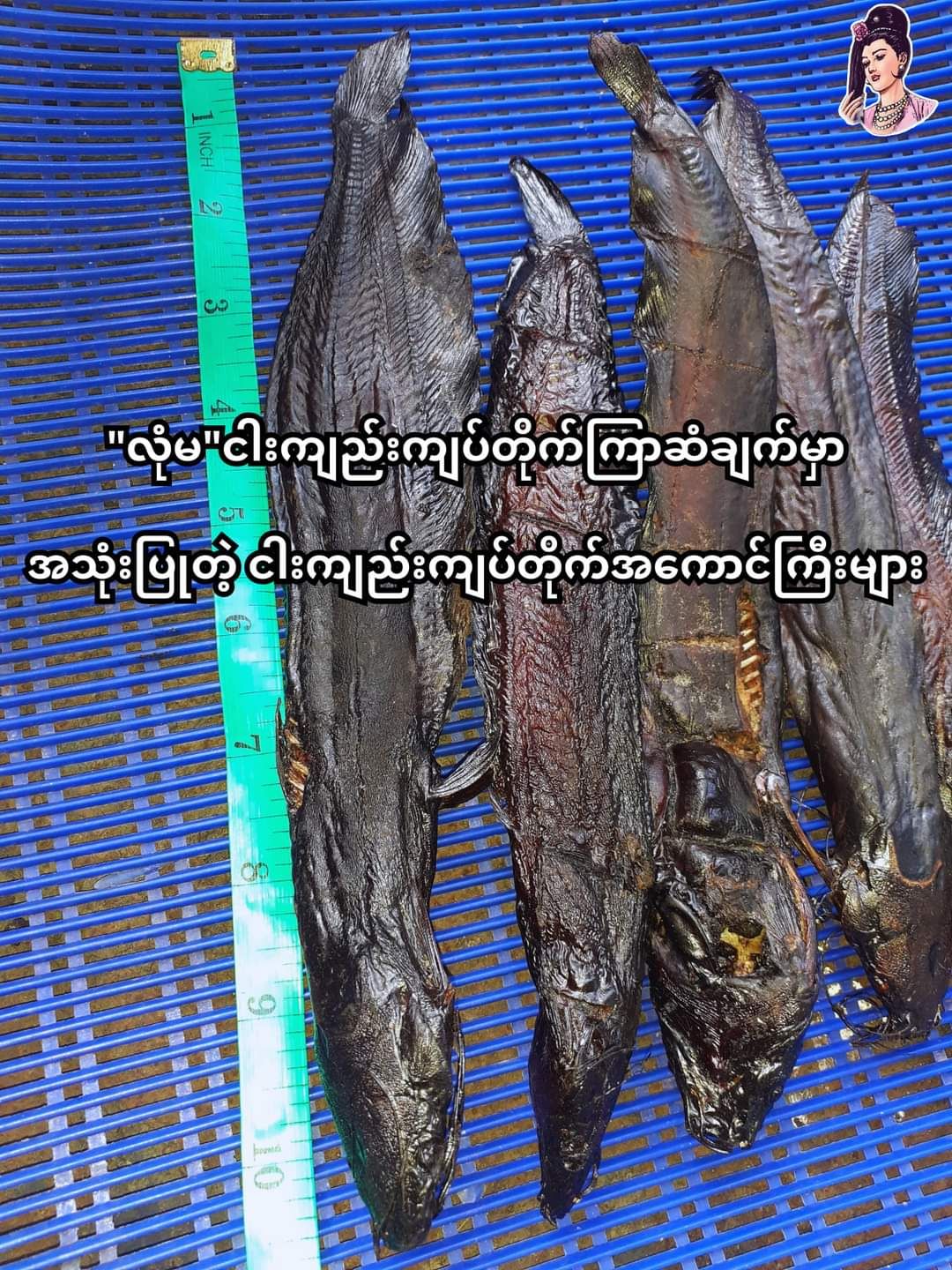 လုံမ_အသင့်စား ငါးကျည်းကျပ်တိုက် ကြာဆံချက် အနှစ်ထုတ်_12