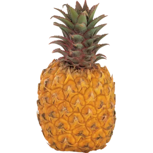 Large Queen Pineapple Single_0