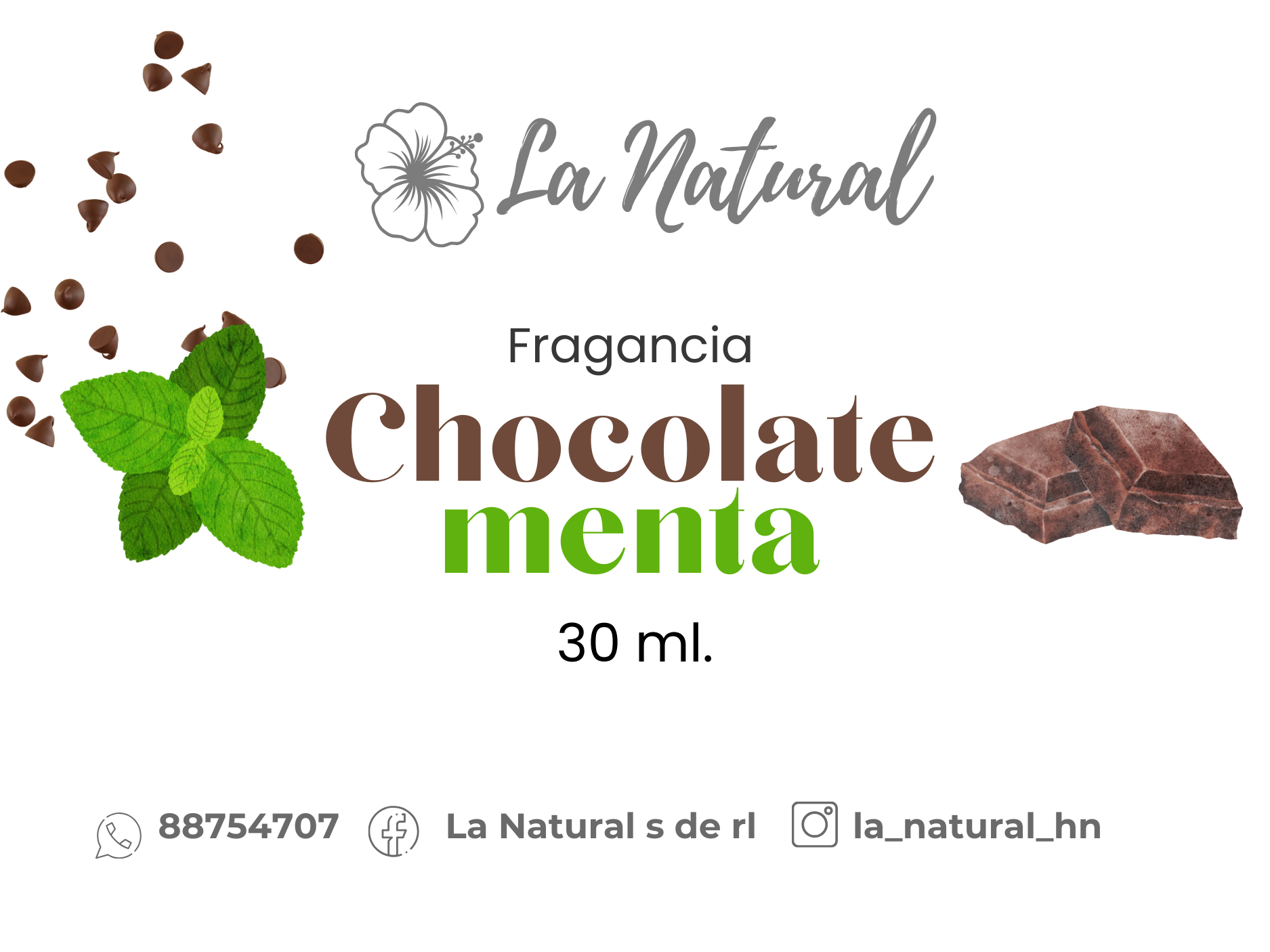 Chocolate menta fragancia_0