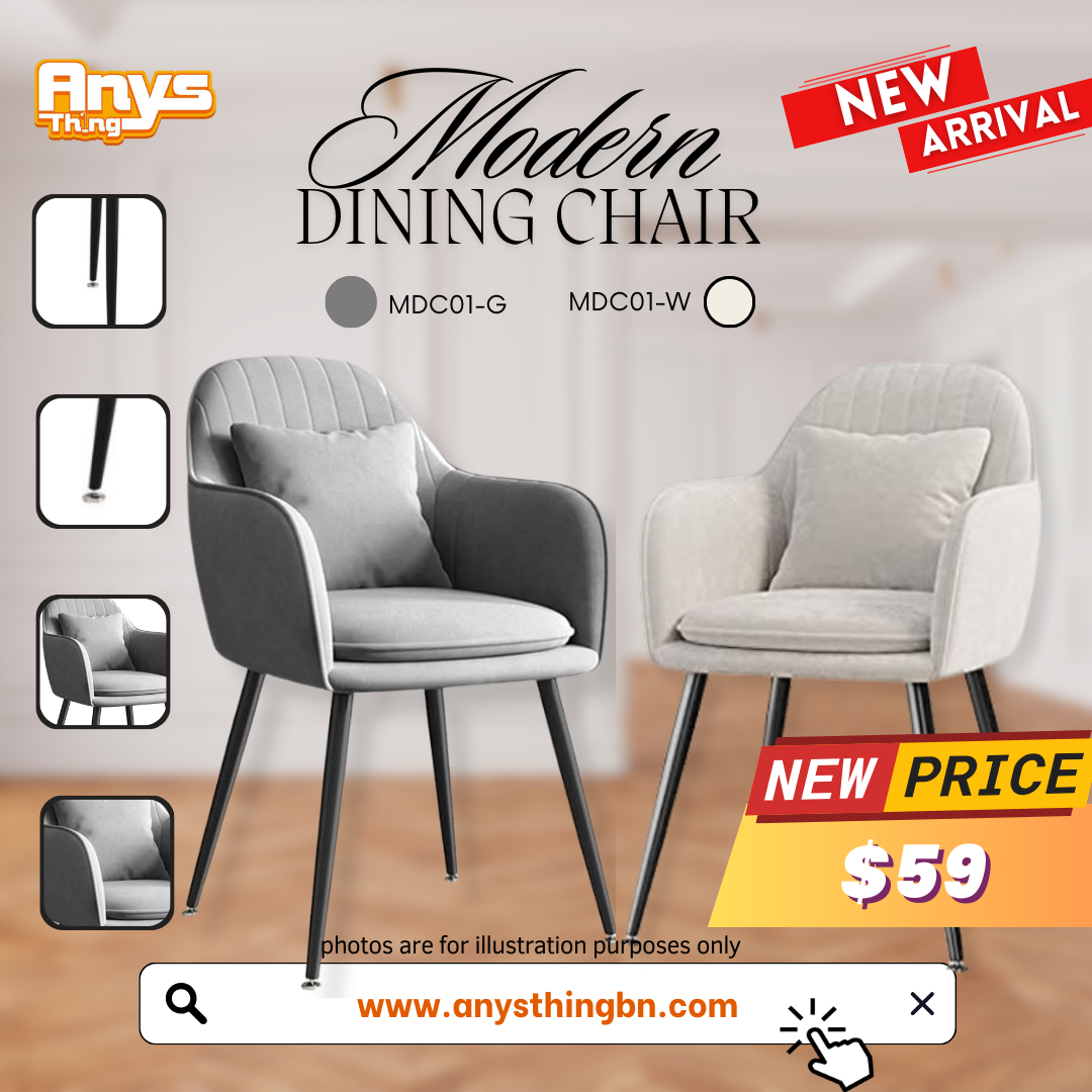 Modern Dining Chair_0