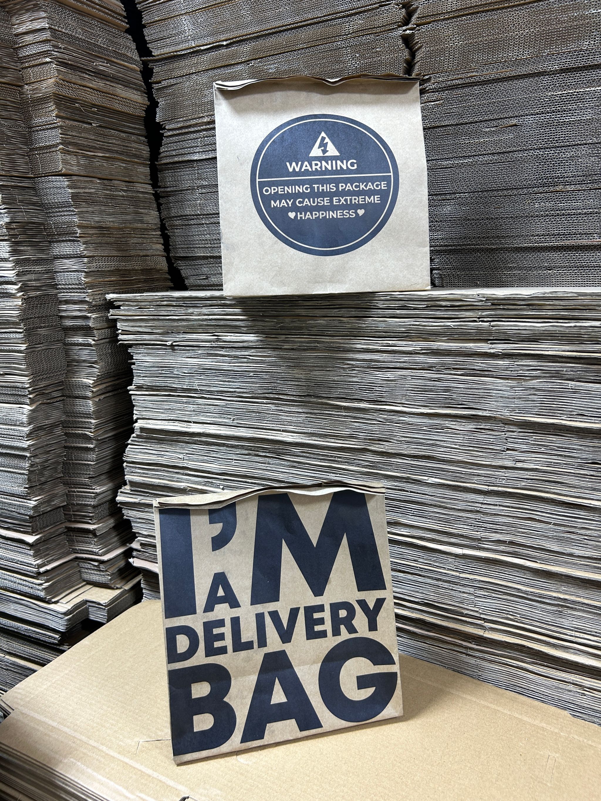 “I’M A DELIVERY BAG”  TAKEOUT BAGS - 12” x 10” x 5.5”_1