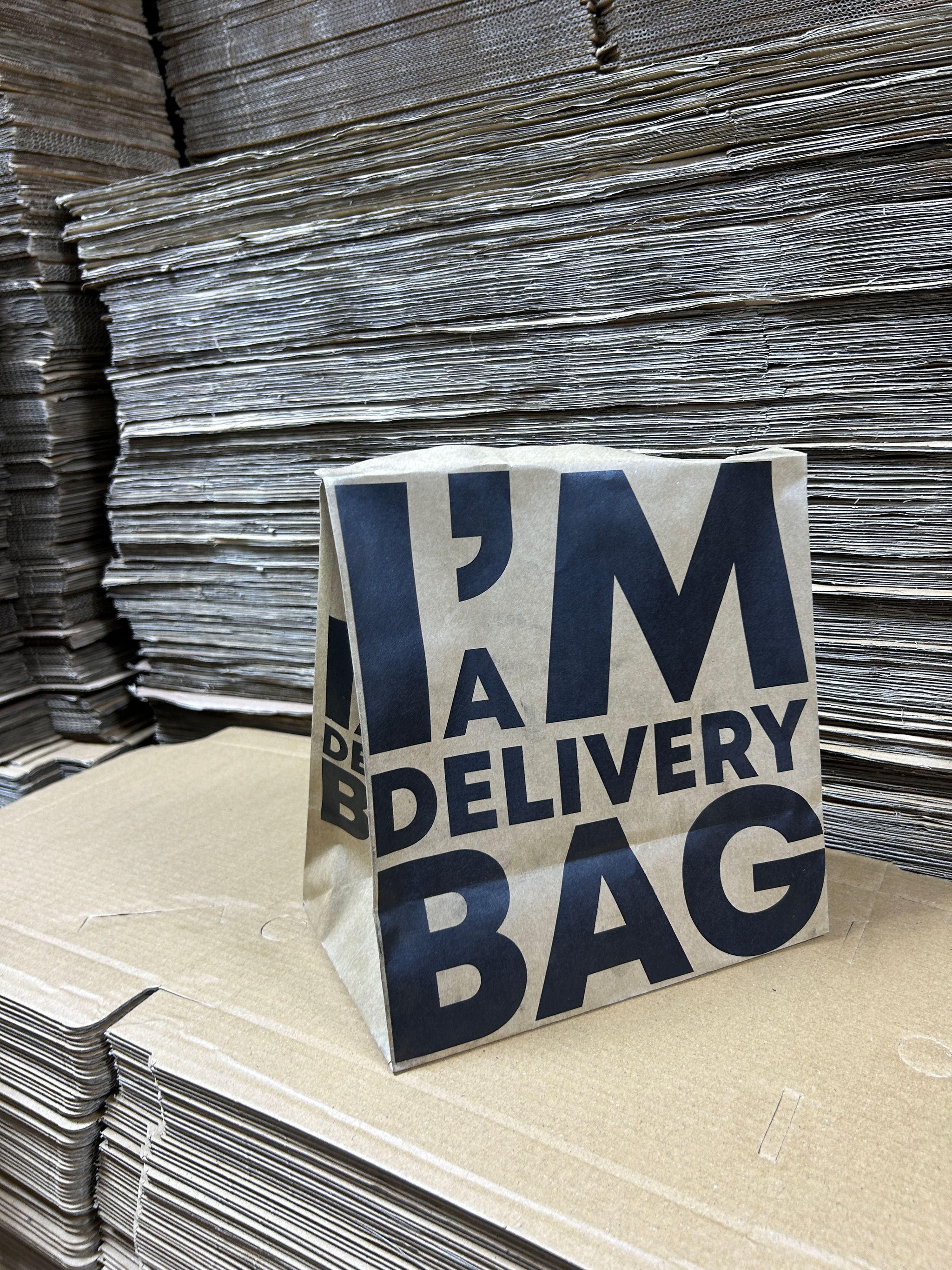 “I’M A DELIVERY BAG”  TAKEOUT BAGS - 12” x 10” x 5.5”_2