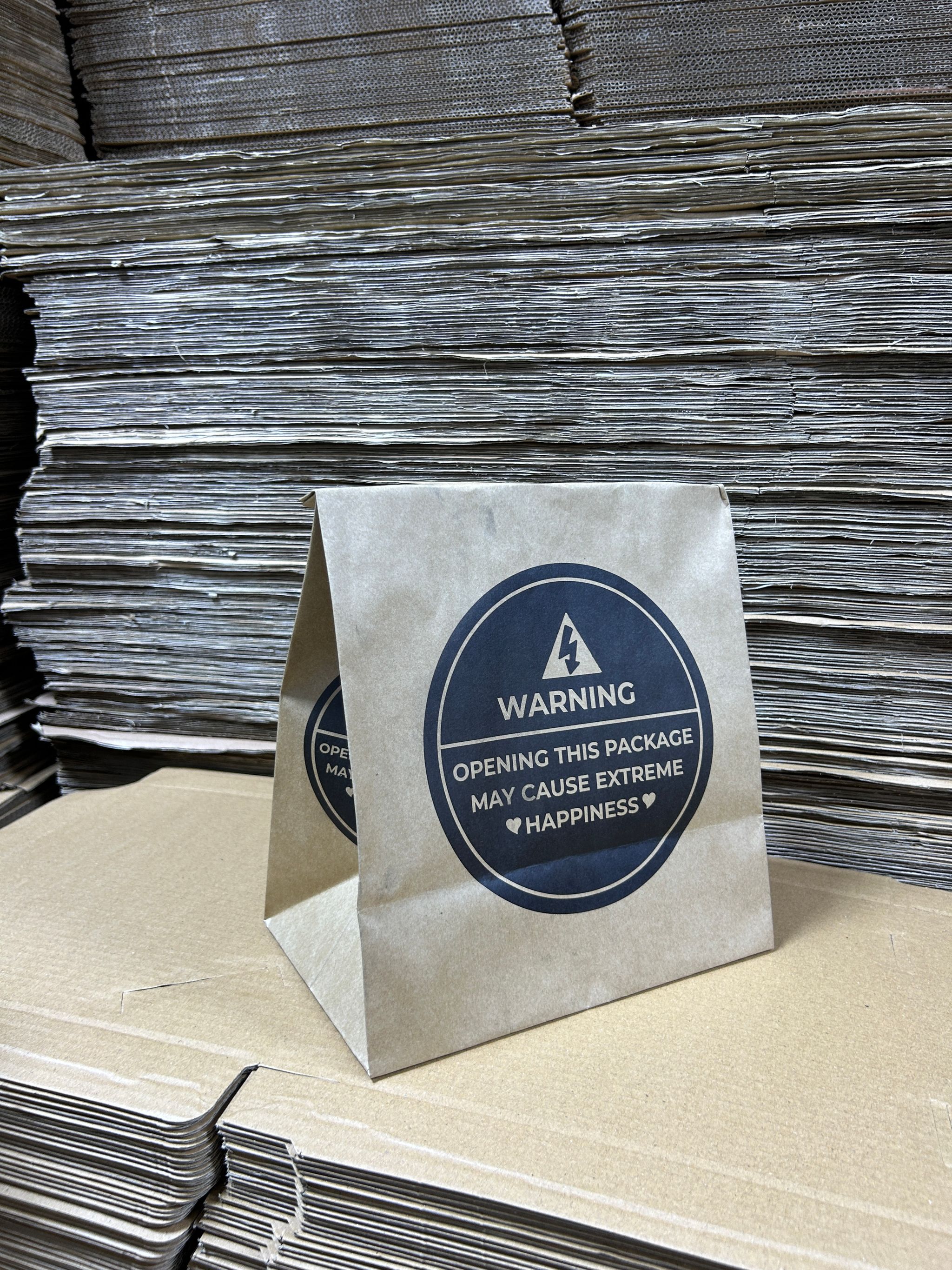 “WARNING”  DELIVERY TAKEOUT BAGS - 12” x 10” x 5.5” _1