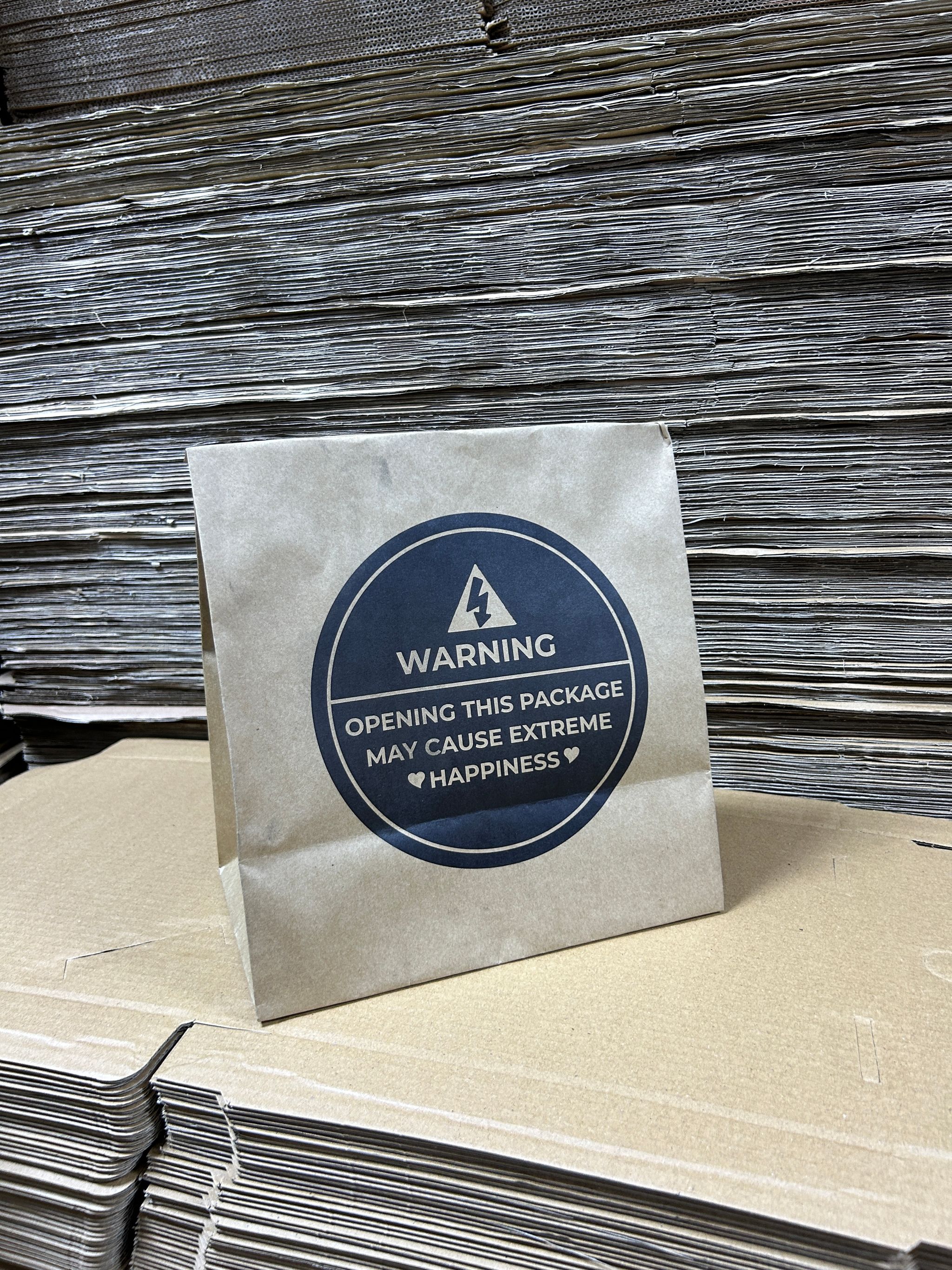 “WARNING”  DELIVERY TAKEOUT BAGS - 12” x 10” x 5.5” _2