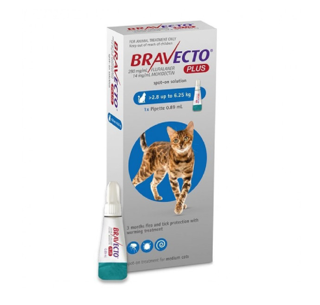 BRAVECTO PLUS CAT (2.8-6.25KG) CAT 250mg_0