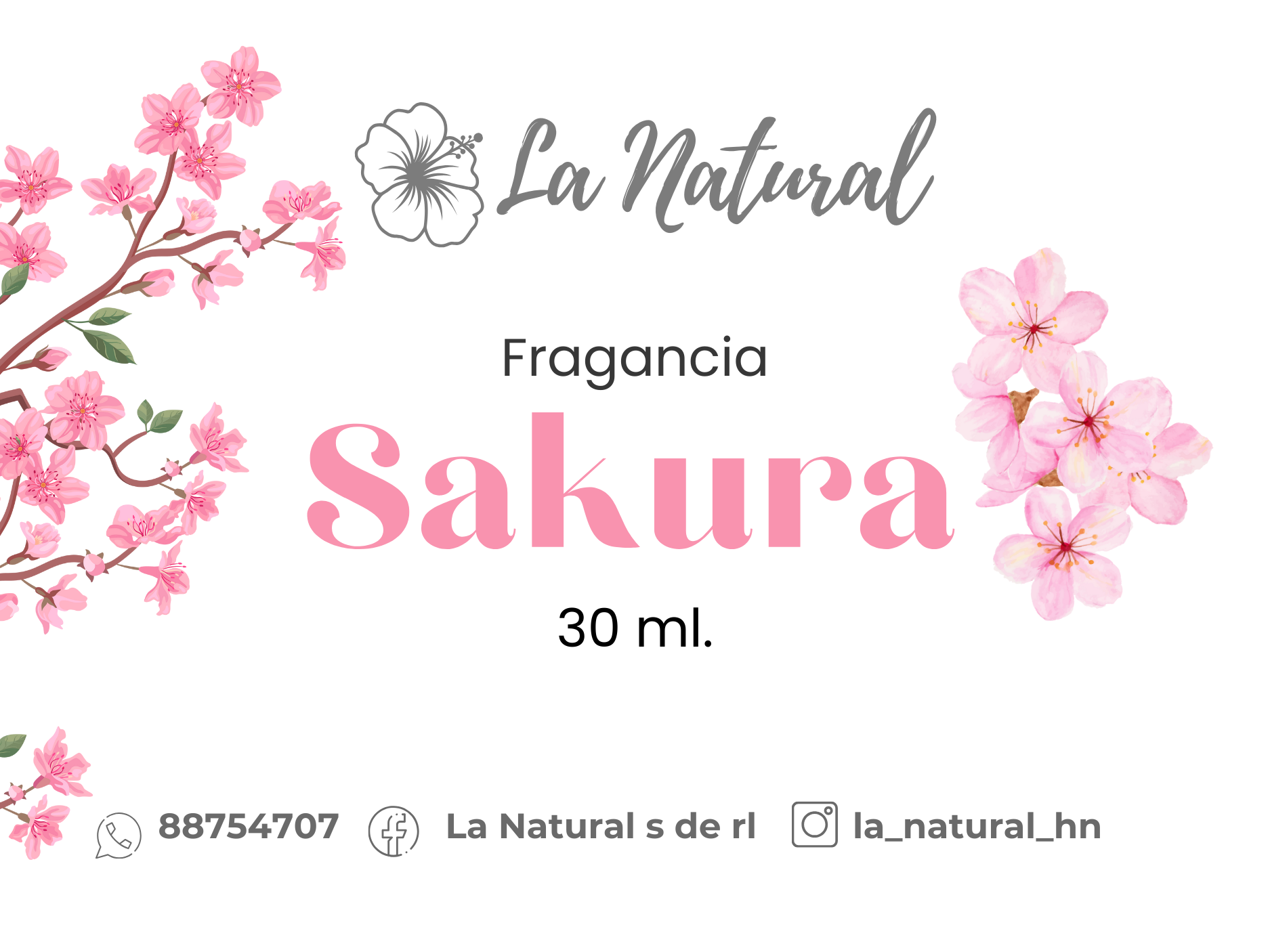 Sakura fragancia_0