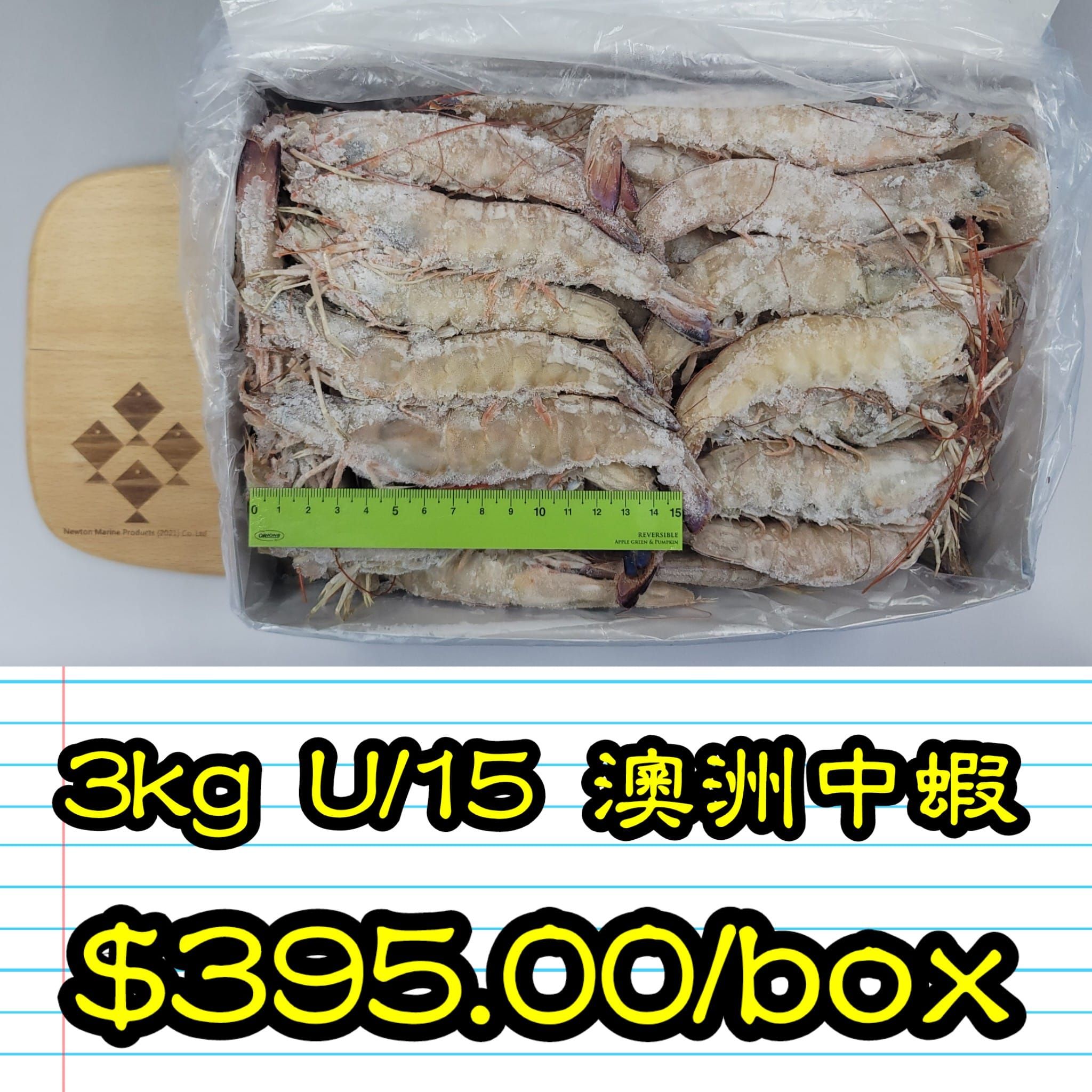3kg U/15 澳洲中蝦_1