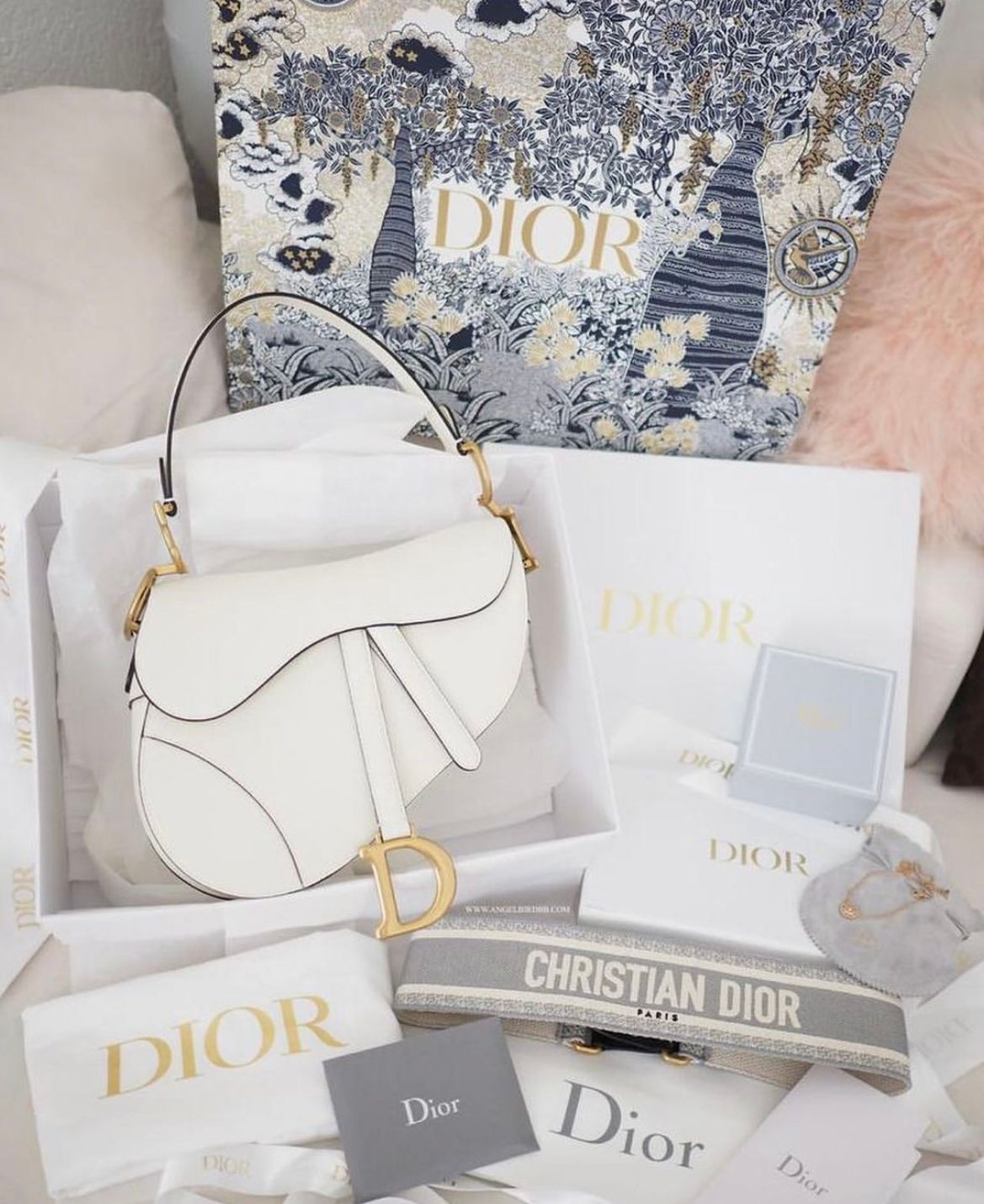 Dior Luxury Bag _2