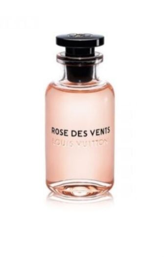 Louis Vuitton ROSE DES VENTS EDP 100ml (Ladies)_0