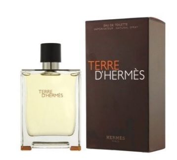 Terre D'Hermes EDT 100ml (Men)_0