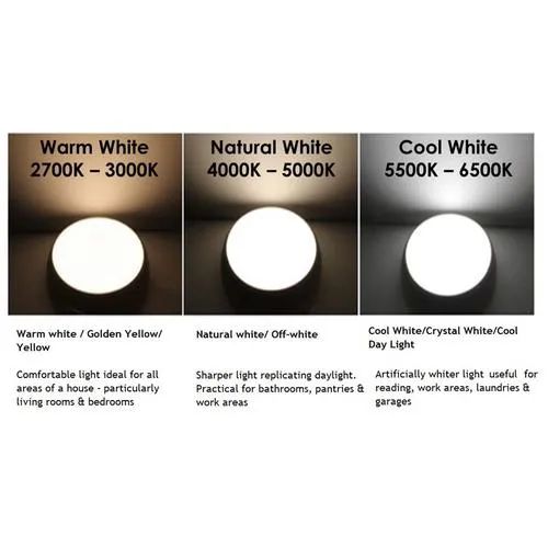 Philips LED Tubelight Slimline Next 5w 1-Feet - Cool White/Crystal White, 1 pc_1