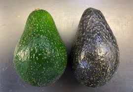 Avocado_0