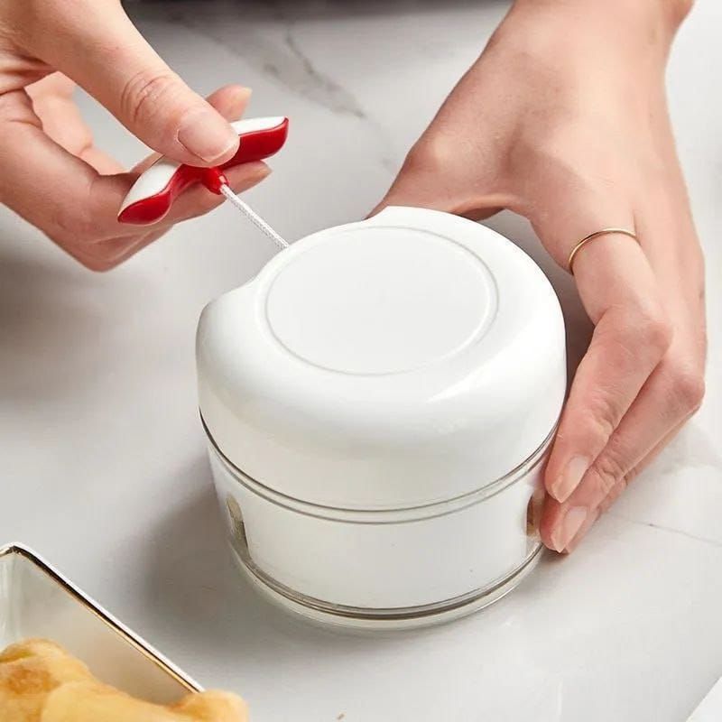 Mini manual Food Chopper _0