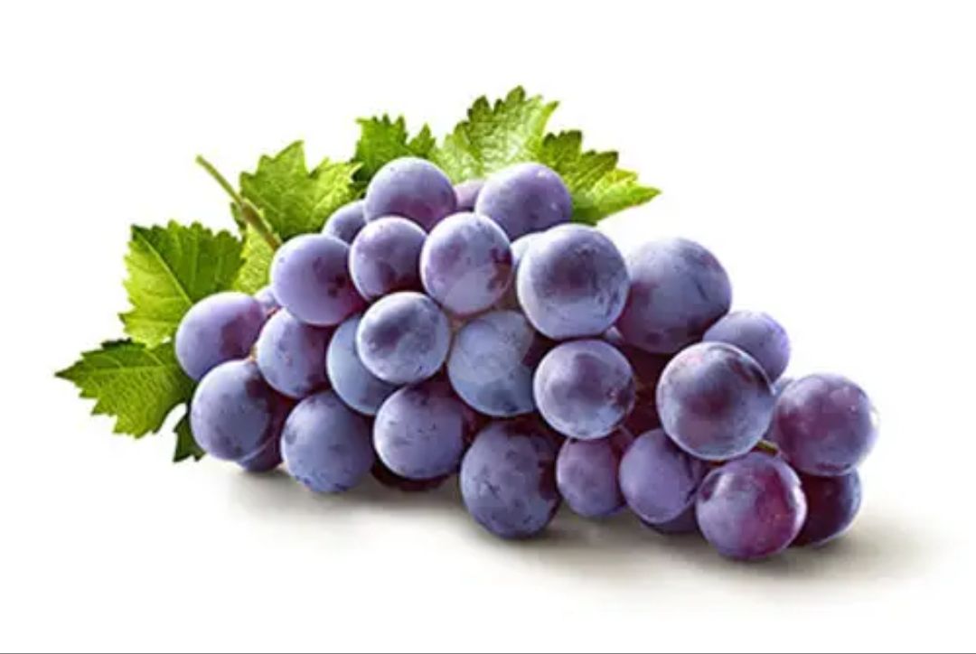 عنب اسود علبة_0