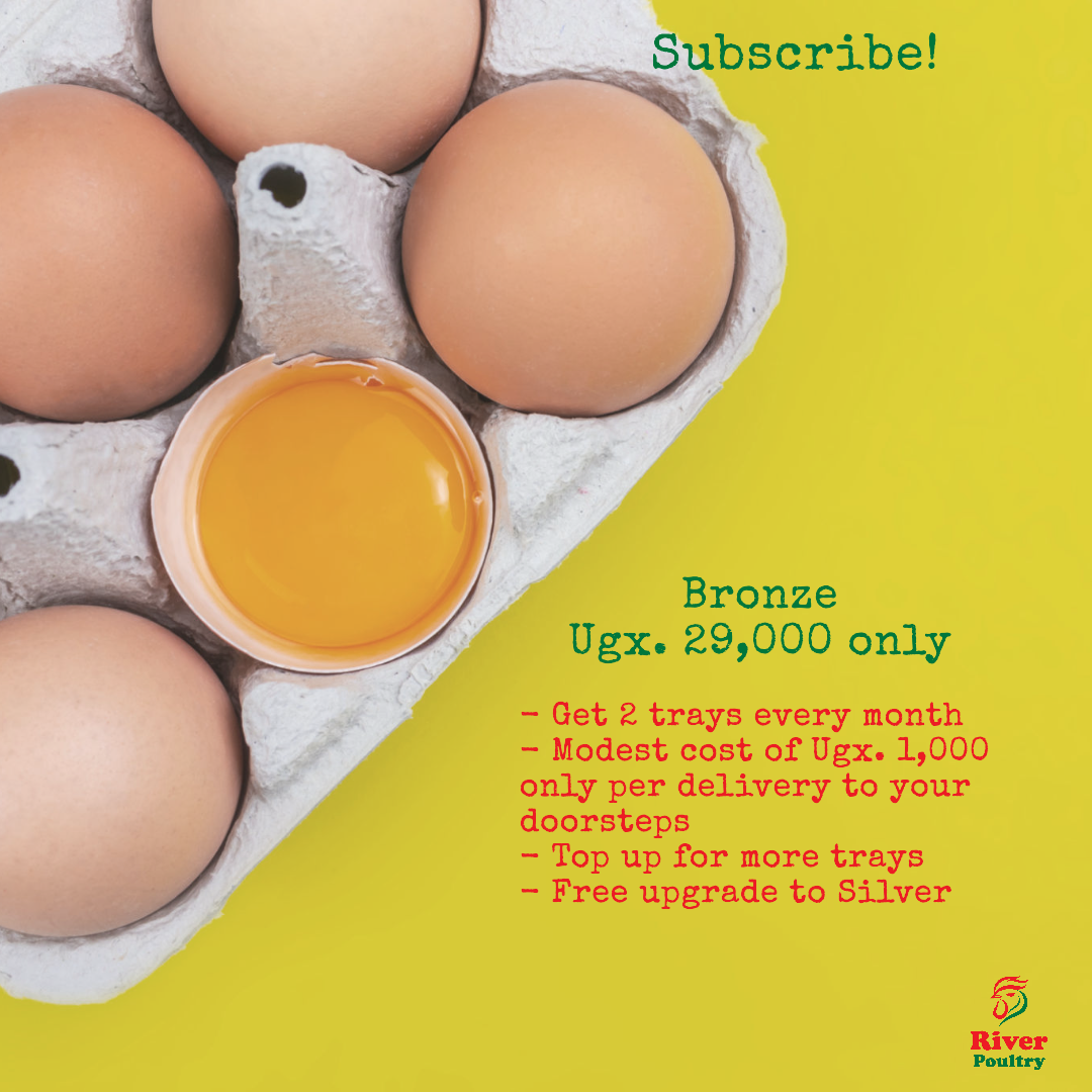 Bronze - Farm-fresh yellow-yolk eggs_1