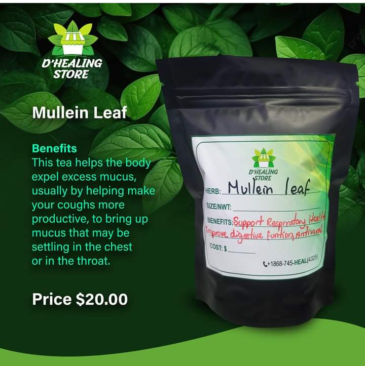 Mullein leaf tea_0