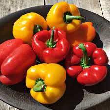 Red & Yellow Pepper_0