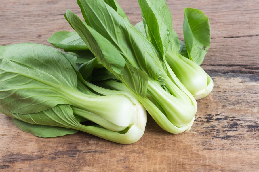 Pak Choi_0