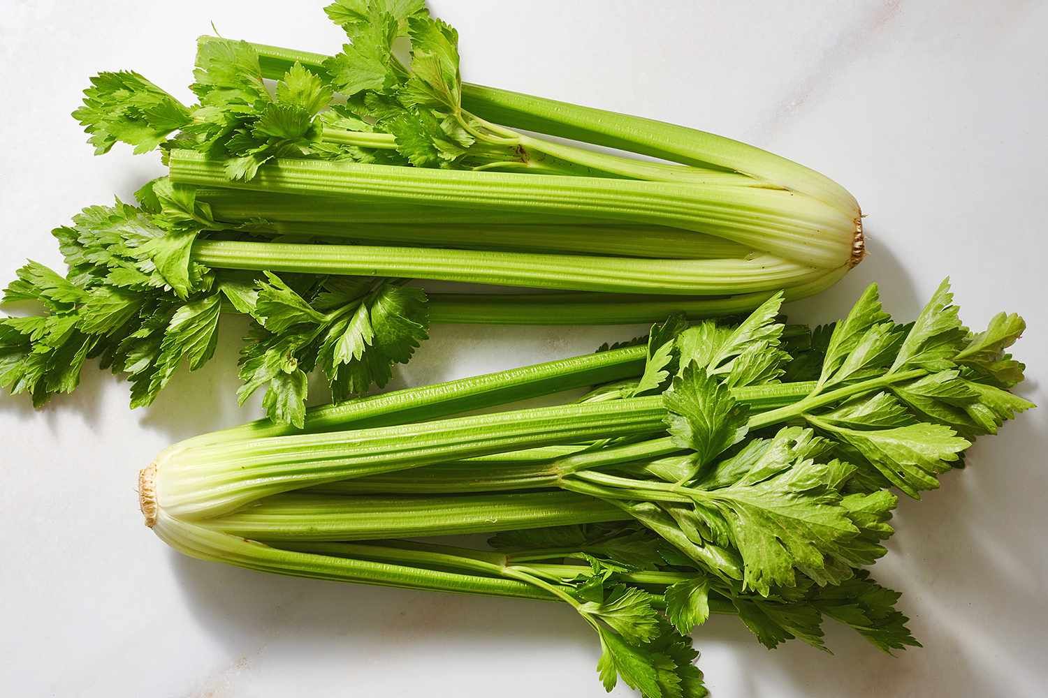 Celery_0