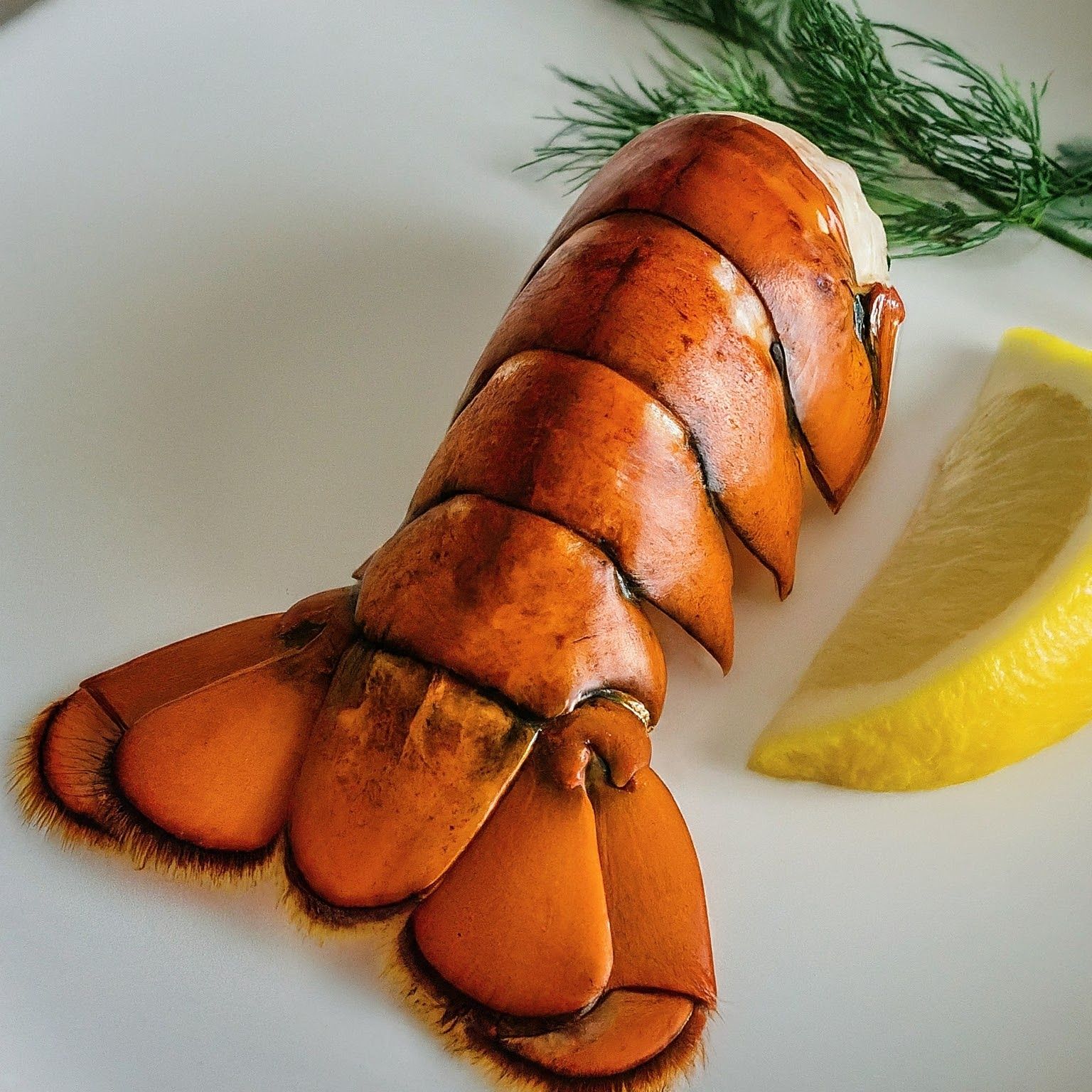 Queue de homard / Lobster tails_0