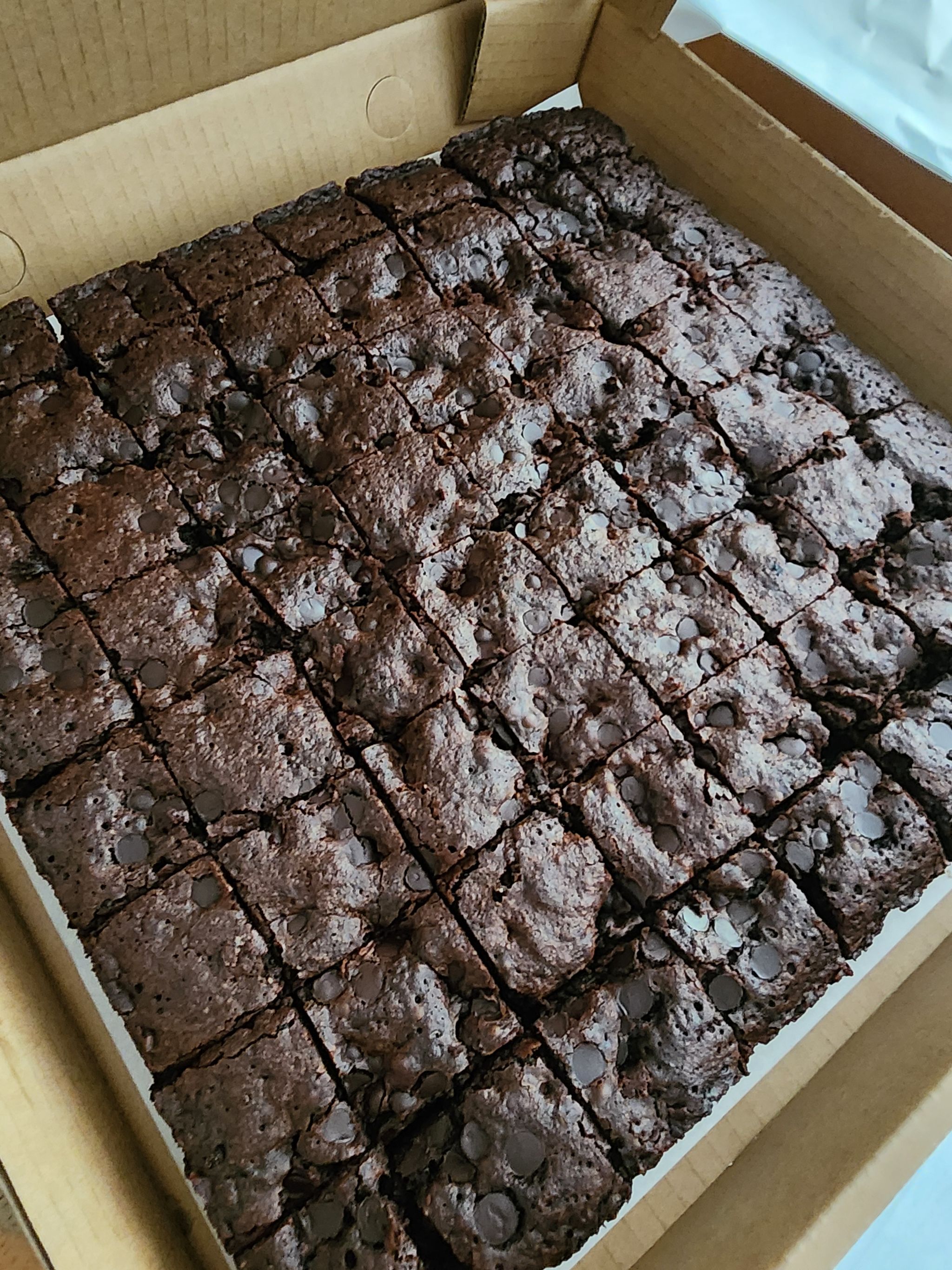 Fudgy brownies_0