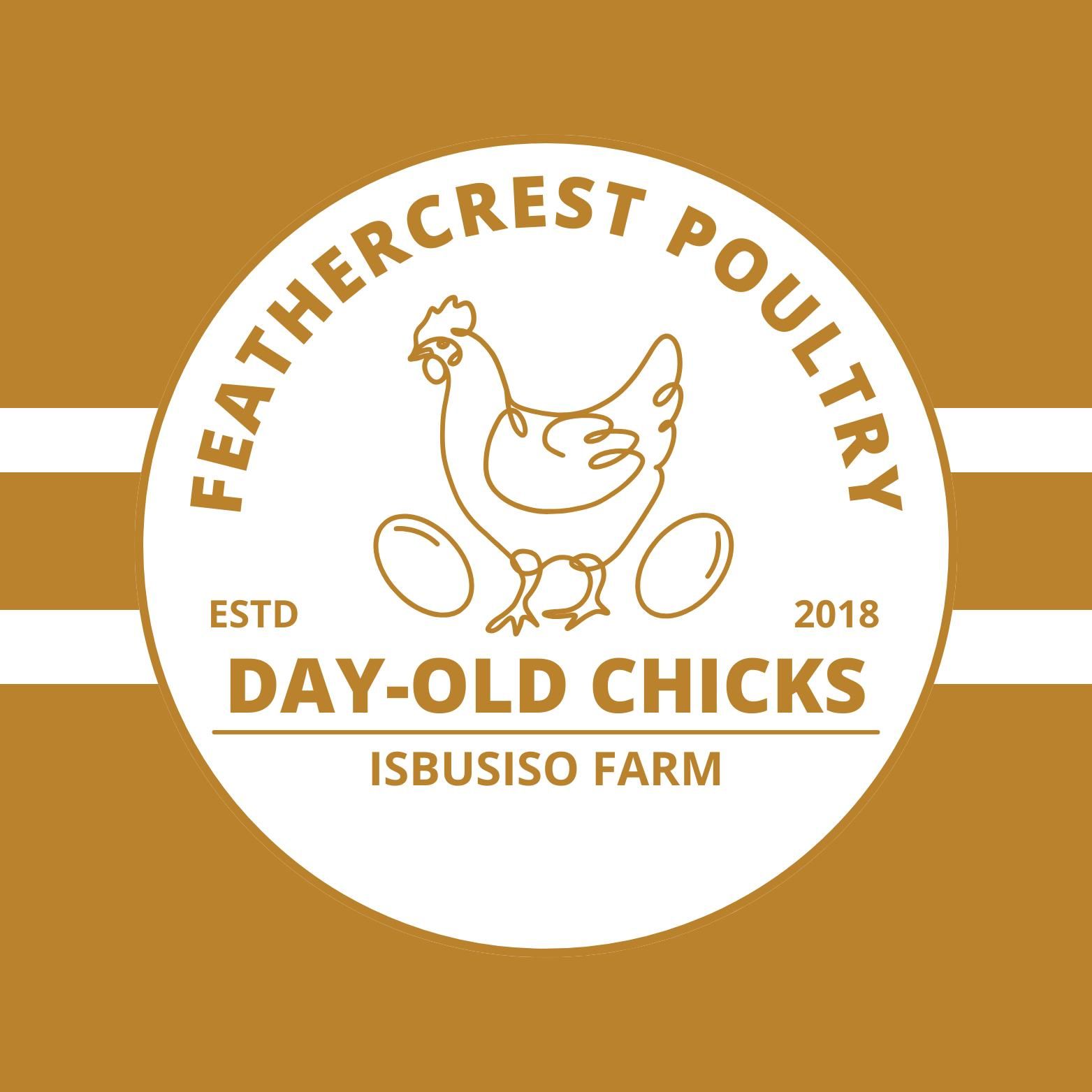 FeatherCrest Day-old Chicks_0