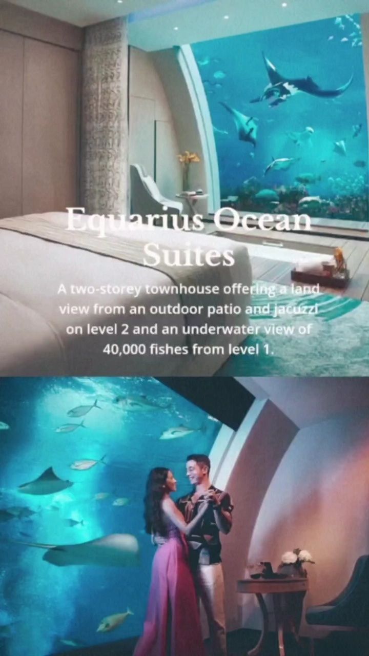 Equarius Ocean Suite_0