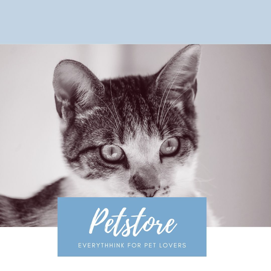 PETS Part II: Square 1080x1080 (70 pages)_3